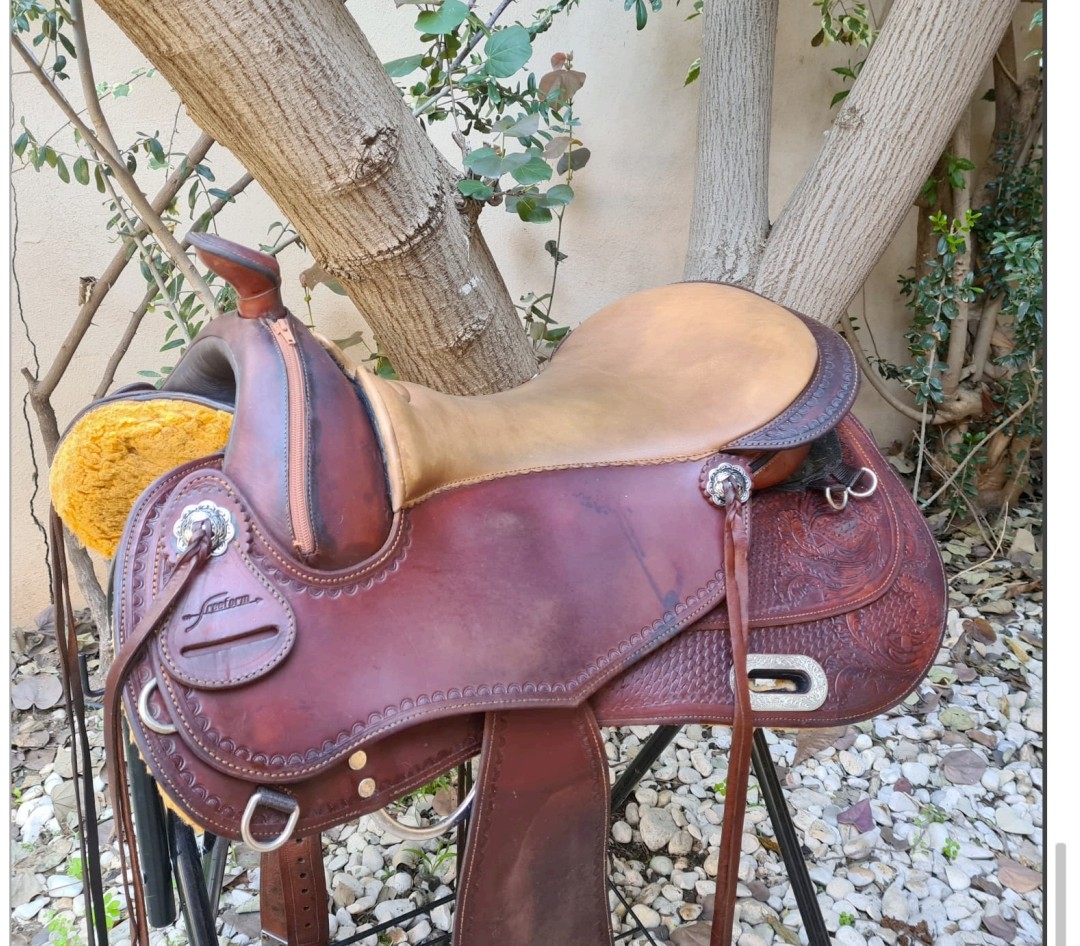 Western saddle 